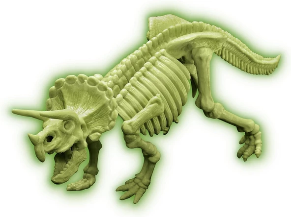 Triceratops DinoSaur DNA/ Dinozor DNA Triceratops Kazı Keşfetme Seti - 3