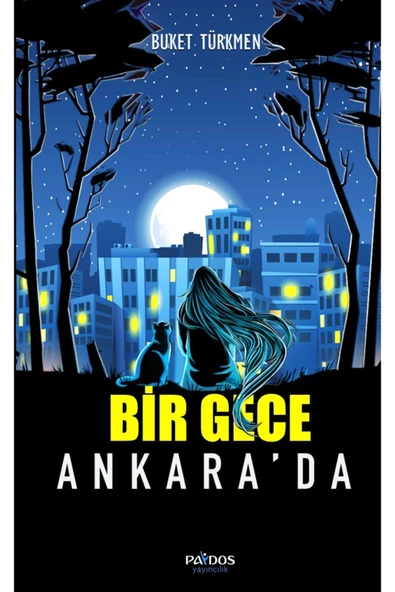 Bir Gece Ankara'da / Buket Türkmen / Paydos Yayıncılık / 9789944357821