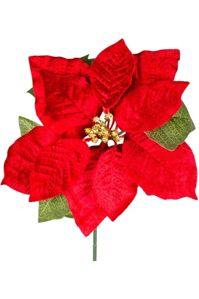 Yılbaşı Çiçeği Puansetya Kırmızı 62 Cm - Resim 2