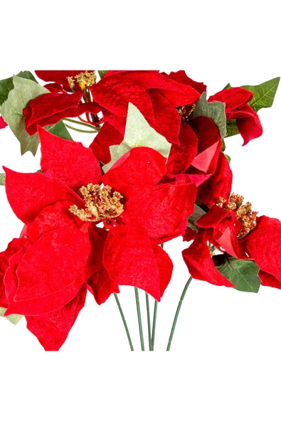 Yılbaşı Çiçeği Puansetya Demet Kırmızı 60 Cm - Resim 2