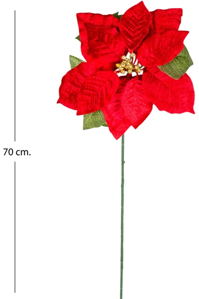 Yılbaşı Çiçeği Puansetya Kırmızı 62 Cm - Resim 3