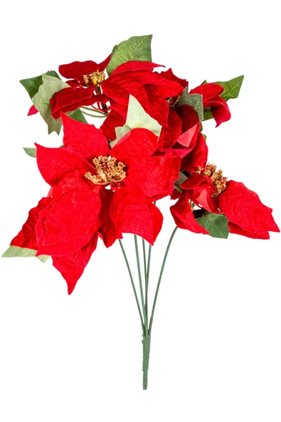 Yılbaşı Çiçeği Puansetya Demet Kırmızı 60 Cm