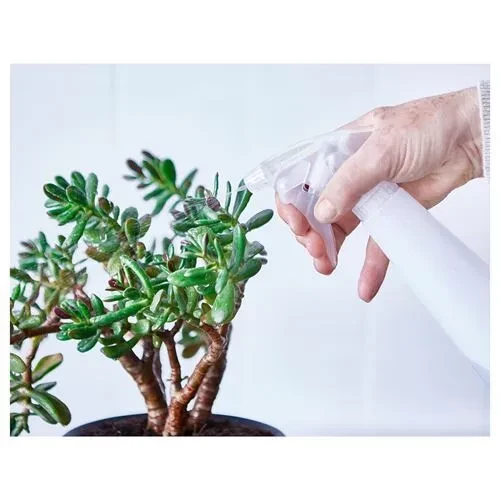 SUMUHOME TOMAT BAHÇE BİTKİ SULAMA SPREY ŞİŞESİ BEYAZ 35 CL - 5