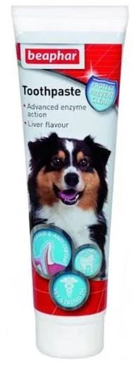 Beaphar Köpekler İçin Diş Macunu 100 ml