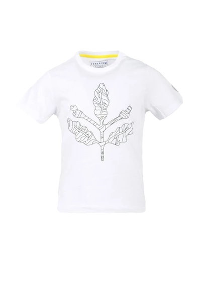 Fenerbahçe Orijinal Palamut Logo Sıfır Yaka Çocuk T-Shirt Hediyelik Ahşap Kutulu - 5