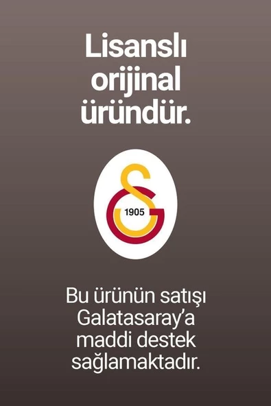 Galatasaray Orijinal Lisanslı 24/25 Parçalı Forma Aslan Baskılı Hediyelik Ahşap Kutulu - 5