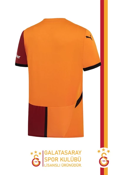 Galatasaray Orijinal Lisanslı 24/25 Parçalı Forma Premium Uçlu Kalem Set Aslan Baskılı Ahşap Kutulu - 5