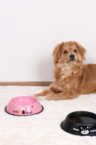 RENKli Metal Mama Kabı, Kedi Köpek Mama Su Kabı 20 cm - 7