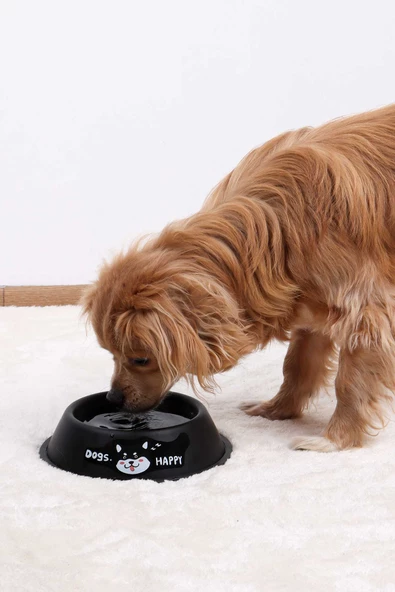 RENKli Metal Mama Kabı, Kedi Köpek Mama Su Kabı 20 cm - 3