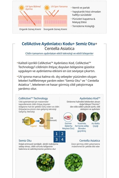 Atomy Absolute Essence UV Güneş Kremi - 5