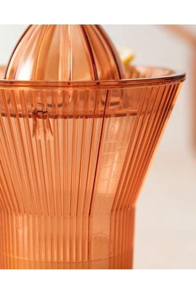 Madame Coco Henric Narenciye Sıkacağı - Resim 2