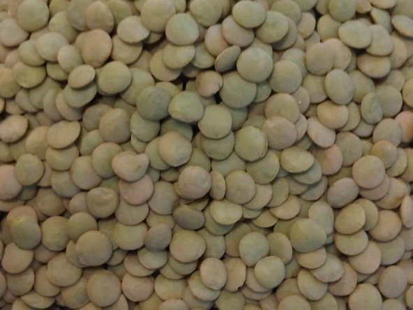 Doğal Yeşil Mercimek Tohumu (20 kG) - 1