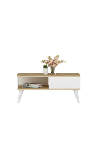 Cantek Dizayn Seulct Orta Sehpa Safirmeşe-Beyaz - 3