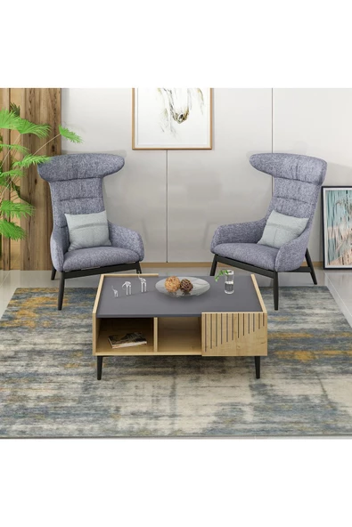Cantek Dizayn Artemisct Orta Sehpa Safirmeşe-Antrasit - 3