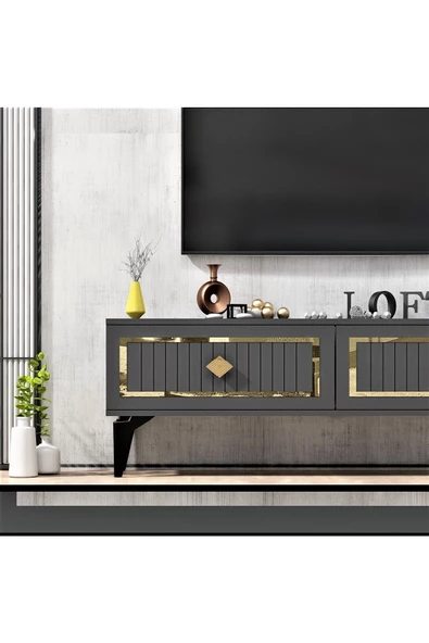 Cantek Dizayn 120 Cm Venna Tv Ünitesi Antrasit-Altın - 3
