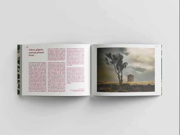 Zeytincinin Başucu Rehberi - 8