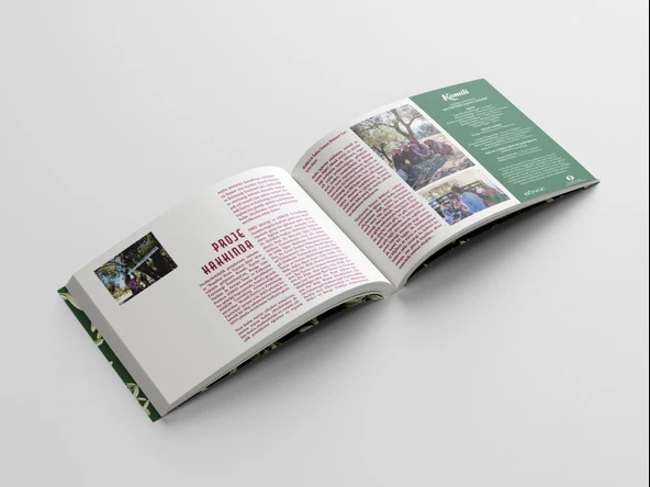 Zeytincinin Başucu Rehberi - 4