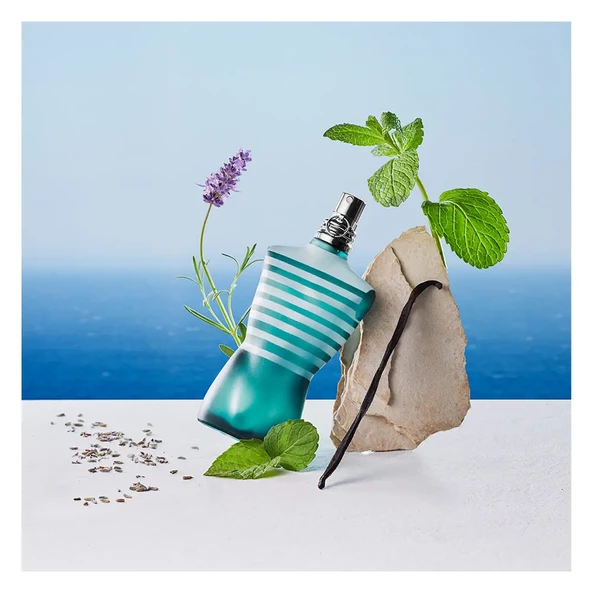 Jean Paul Gaultier Le Male Le Maxi EDT 200 ml Erkek Parfüm - 3