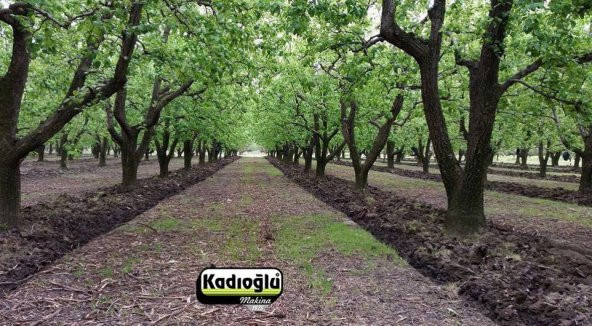 Kadıoğlu Eko Duyarga Taşıyıcı + 4lü Diskaro - 5