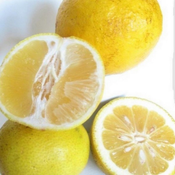 Tüplü Aşılı Meyve Verme Yaşında Nadir Tatlı Şeker Limon Fidanı