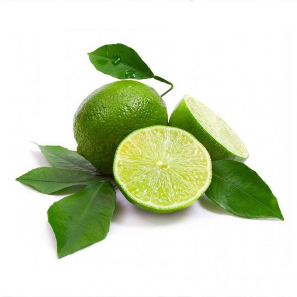 Tüplü Aşılı Nadir Çeşit Meksika Lime (Çekirdeksiz Limon) Fidanı - 4
