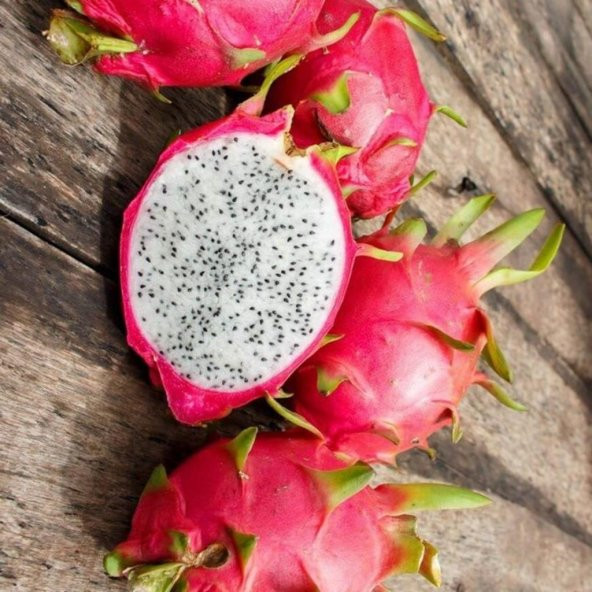 Tüplü Beyaz Pitaya Ejder Meyvesi Fidanı - 4