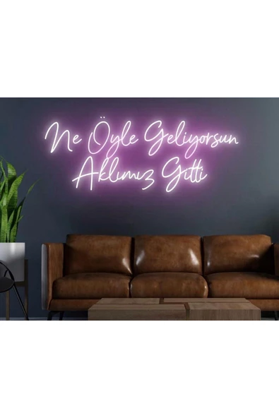 Twins Led Aydınlatma Ne Öyle Geliyorsun Aklımız Gitti Yazılı Neon Tabela