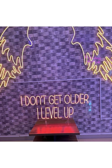Twins Led Aydınlatma I DON'T GET OLDER I LEVEL UP Yazılı Neon Tabela - 2