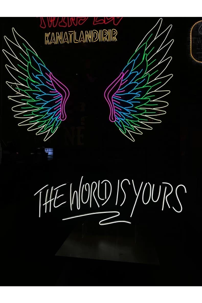 Twins Led Aydınlatma THE WORLD IS YOURS Yazılı Neon Tabela - Resim 2