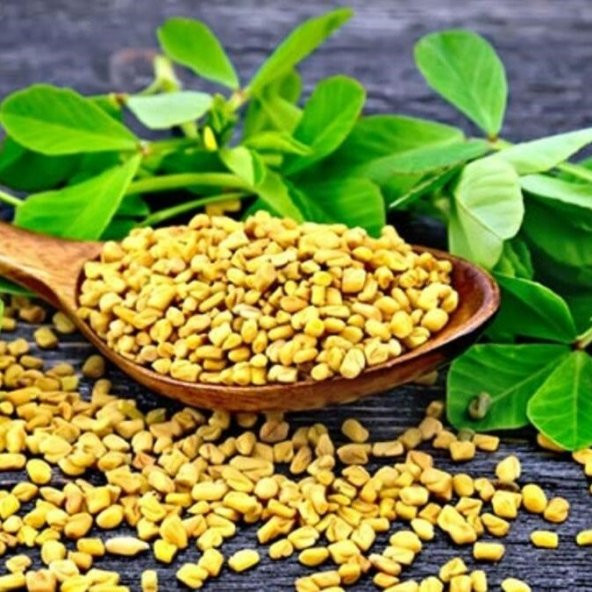 Çemen Otu Tohumu (30 tohum) - Resim 2