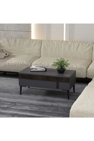 DemonteHome ASUDEDH ORTA SEHPA ANTRASİT CEVİZ
