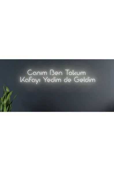 Twins Led Aydınlatma Canım Ben Tokum Kafayı Yedim de Geldim Yazılı Neon Tabela