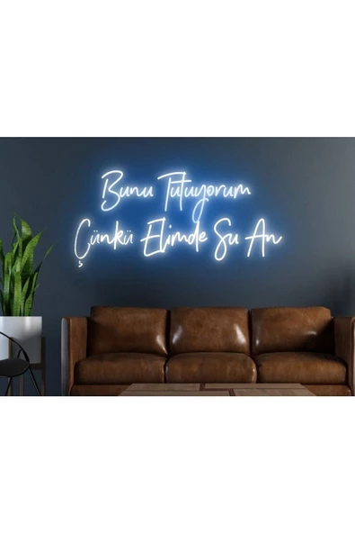 Twins Led Aydınlatma Bunu Tutuyorum Çünkü Elimde Şu An Yazılı Neon Tabela ürün görseli 1