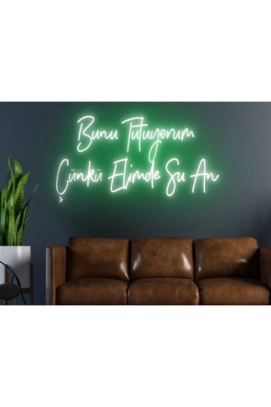 Twins Led Aydınlatma Bunu Tutuyorum Çünkü Elimde Şu An Yazılı Neon Tabela