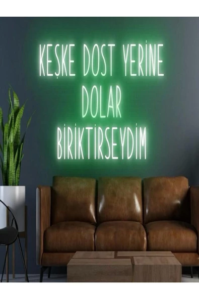 Twins Led Aydınlatma KEŞKE DOST YERİNE DOLAR BİRİKTİRSEYDİM Yazılı Neon Tabela