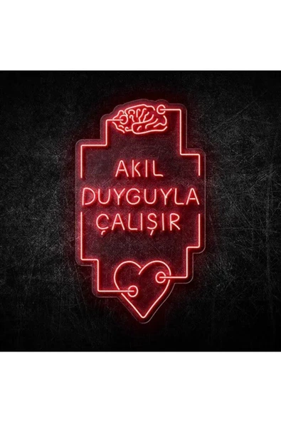 Twins Led Aydınlatma AKIL DUYGUYLA ÇALIŞIR Yazılı ve Şekilli Neon Tabela ürün görseli 1
