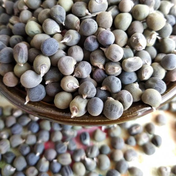 Şifa Kaynağı Doğal Bamya Tohumu (250 gram) ürün görseli 1