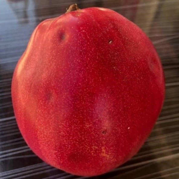 Tüplü Aşılı Verimli Tam Bodur Elma Aromalı Vahapbey Ayva Fidanı - 3