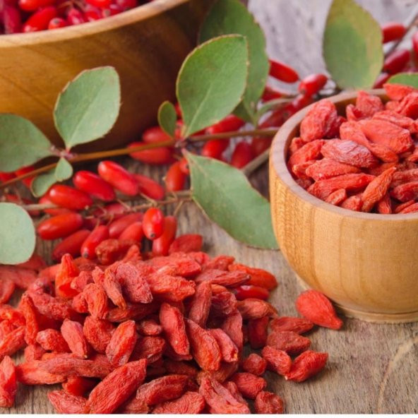 Tüplü Goji Berry Kurt Üzümü Fidanı (10 Adet) - 4