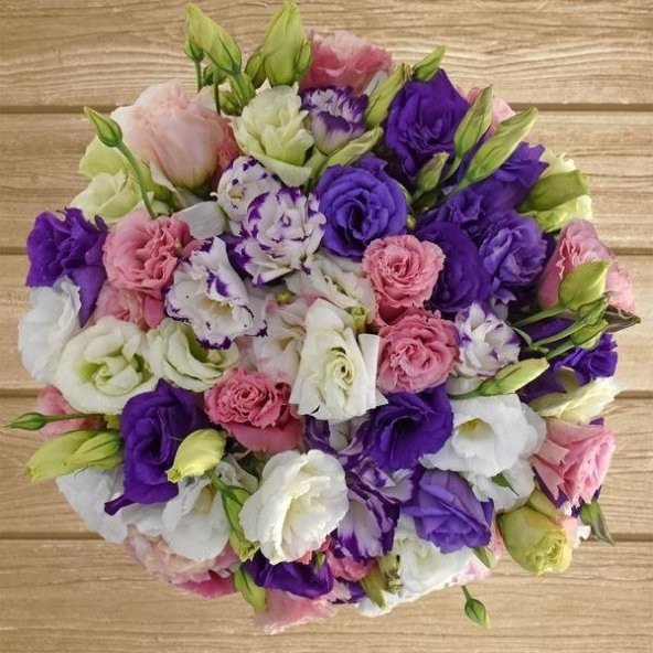 Karışık Renkli Lisianthus  Çiçeği Fidesi (10 adet) - 9