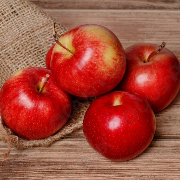 Tüplü Aşılı Tam Bodur Red Miracle Elma Fidanı ürün görseli 1