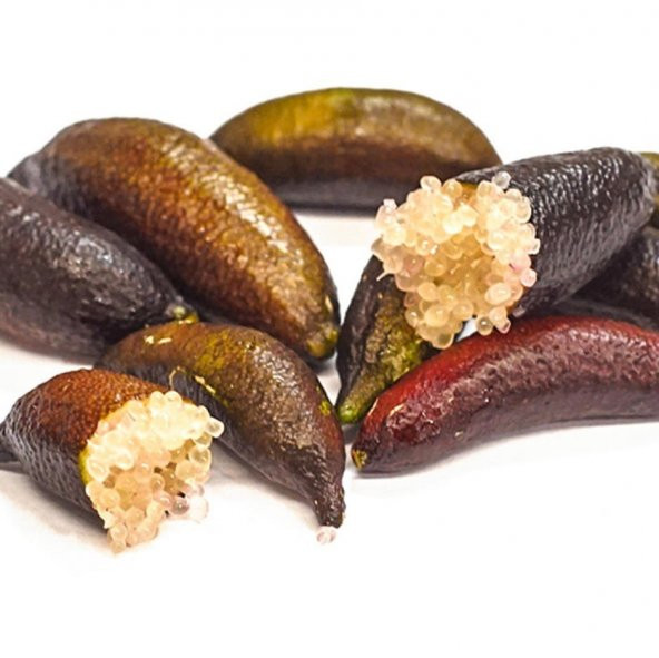 Meyve Verme Yaşında Tüplü Havyar  Red Champagne Finger Lime Fidanı - 3