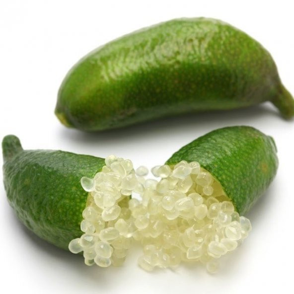Tüplü Nadir Çeşit  Finger Lime Limon Fidanı (10-30 cm ) - 3