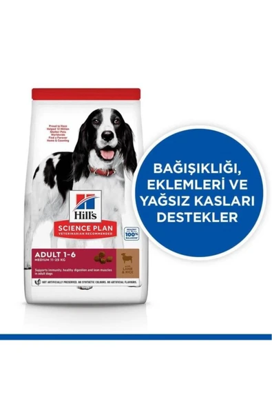 SCIENCE PLAN Kuzulu Yetişkin Köpek Maması 14 Kg