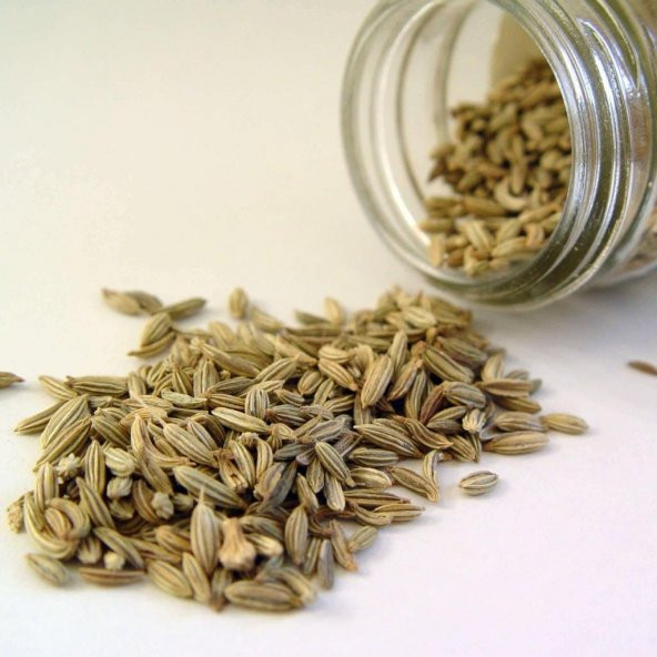 Rezene Tohumu (50 tohum) ürün görseli