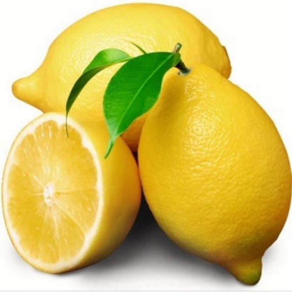 Tüplü Aşılı Verimli Kokulu Aromatik Enter Limon Fidanı
