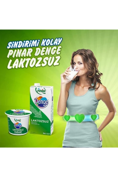 Pınar Denge Laktozsuz Süt 500 ml x 12'li - 4