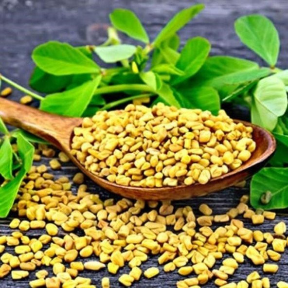 Çemen Otu Tohumu (30 tohum) ürün görseli