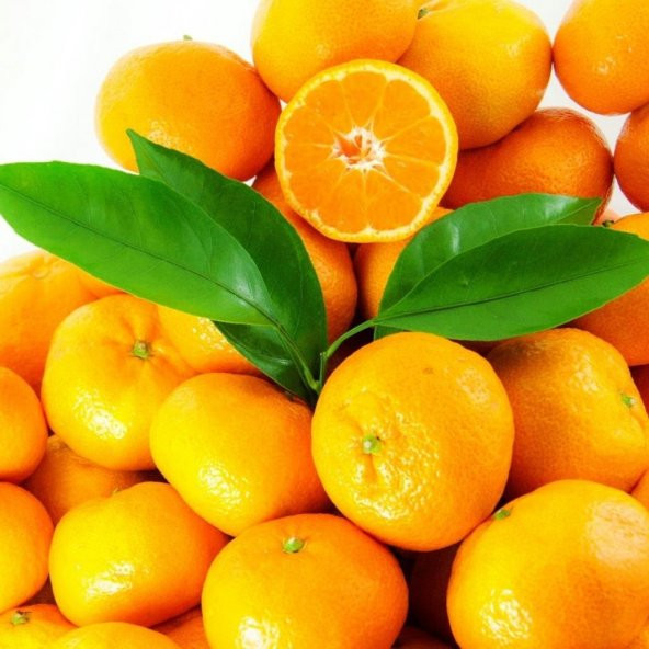 Tüplü Aşılı Bol Verimli Aromalı Sulu Miho Wase Mandalina Fidanı