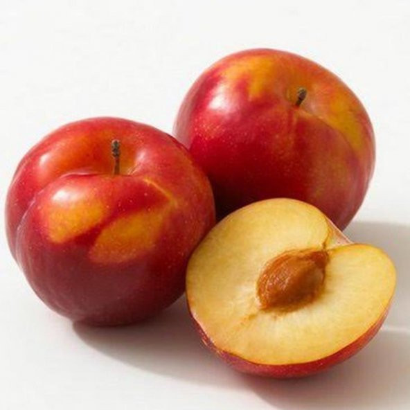 Tüplü Aşılı Yüksek Verimli Formosa Japon Erik Fidanı ürün görseli